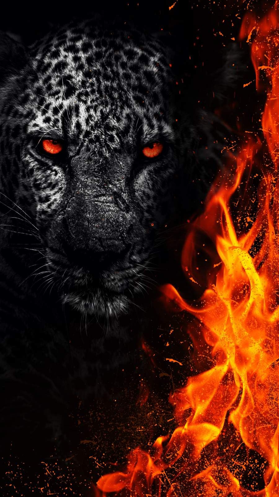 Featured image of post Beast Black Panther Wallpaper Animal