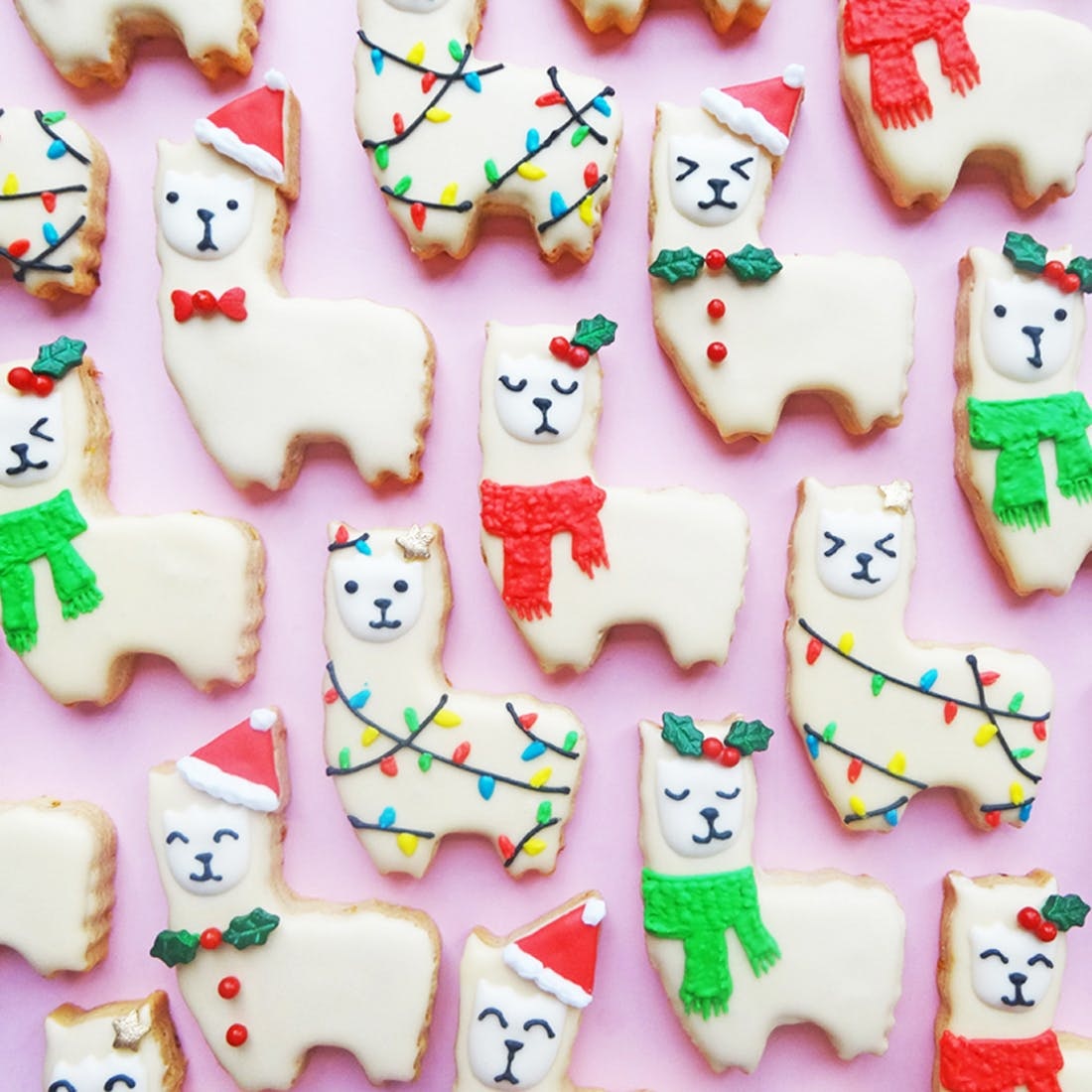 Featured image of post Christmas Llama Cookies