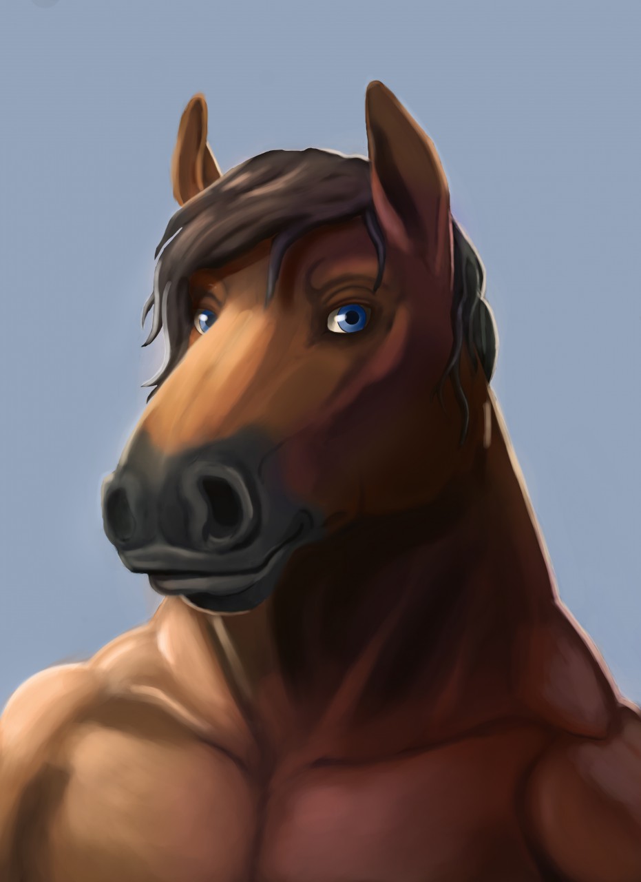 Featured image of post Horse Fursona