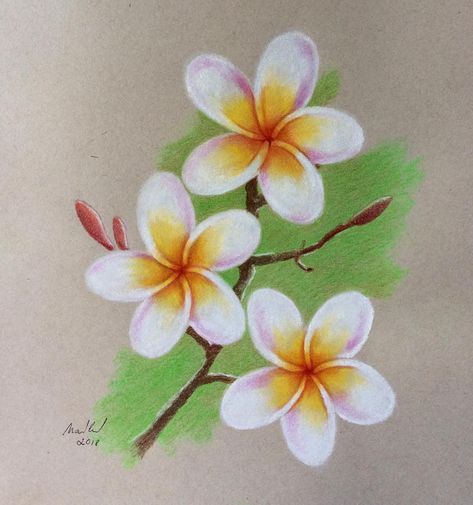 Featured image of post How To Draw Flowers With Chalk Pastels