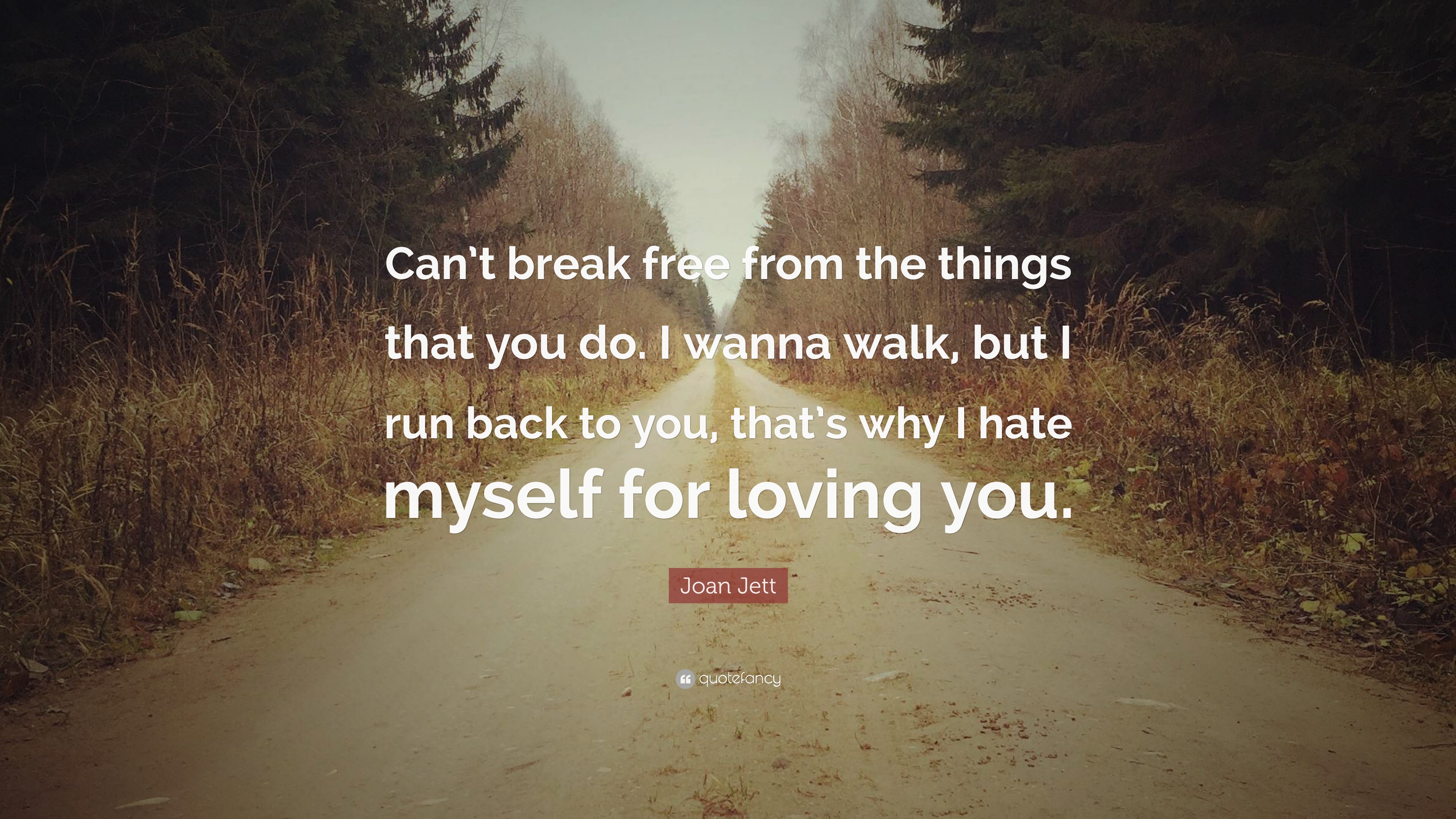 Featured image of post I Wanna Break Free Quotes