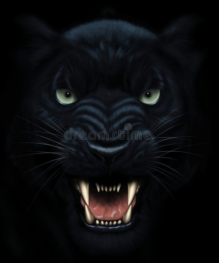 Featured image of post Scary Black Panther Wallpaper Animal