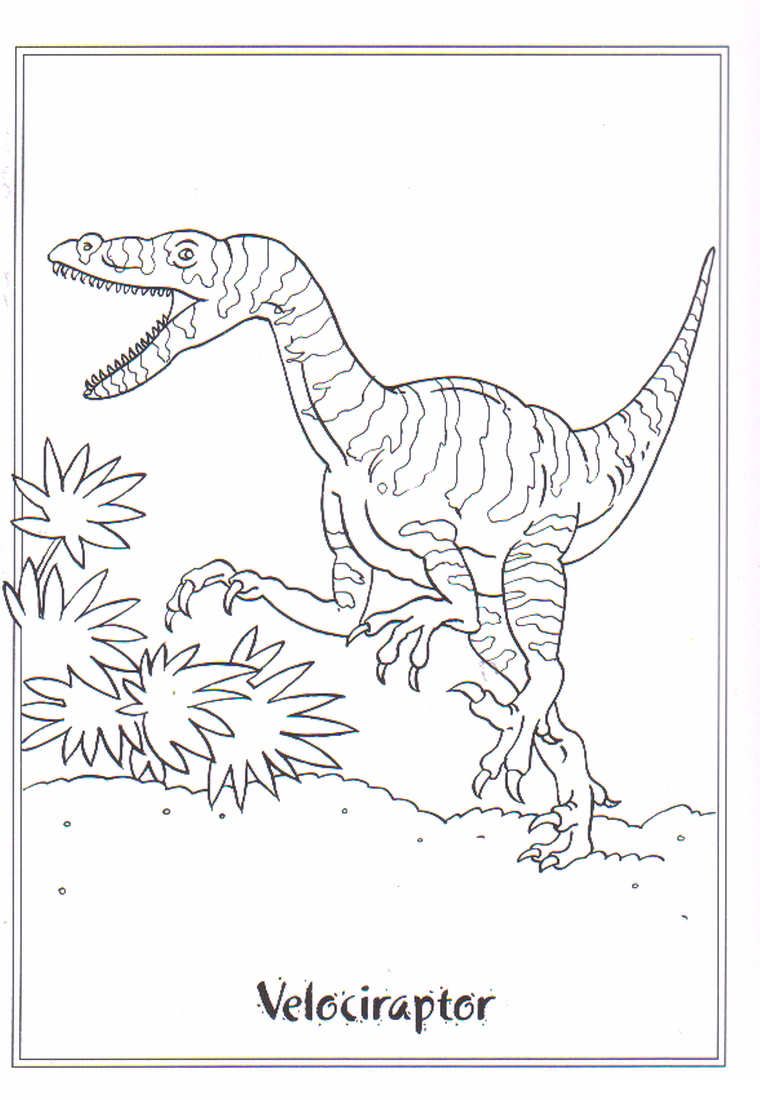 Featured image of post Velociraptor Immagini Dinosauri Da Colorare