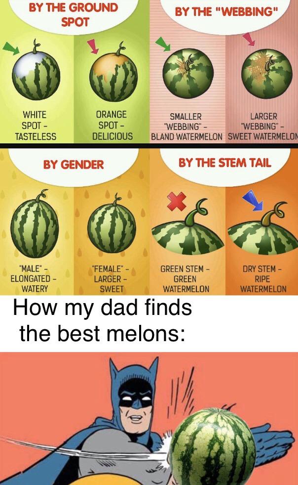 Featured image of post Watermelone Meme