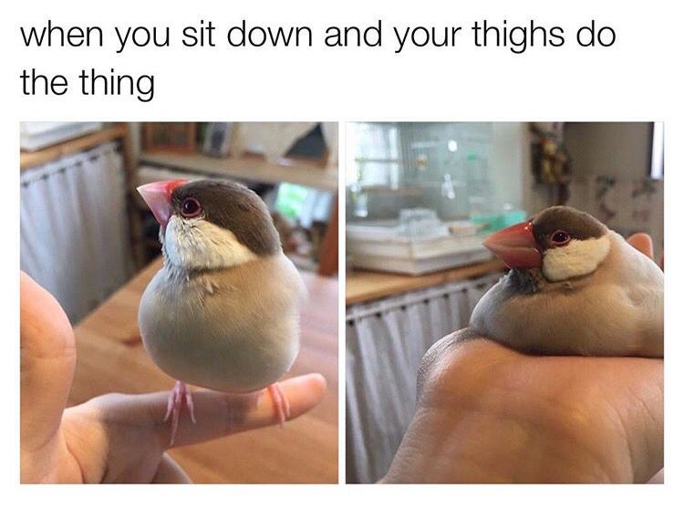 Featured image of post When Your Thighs Do The Thing Bird