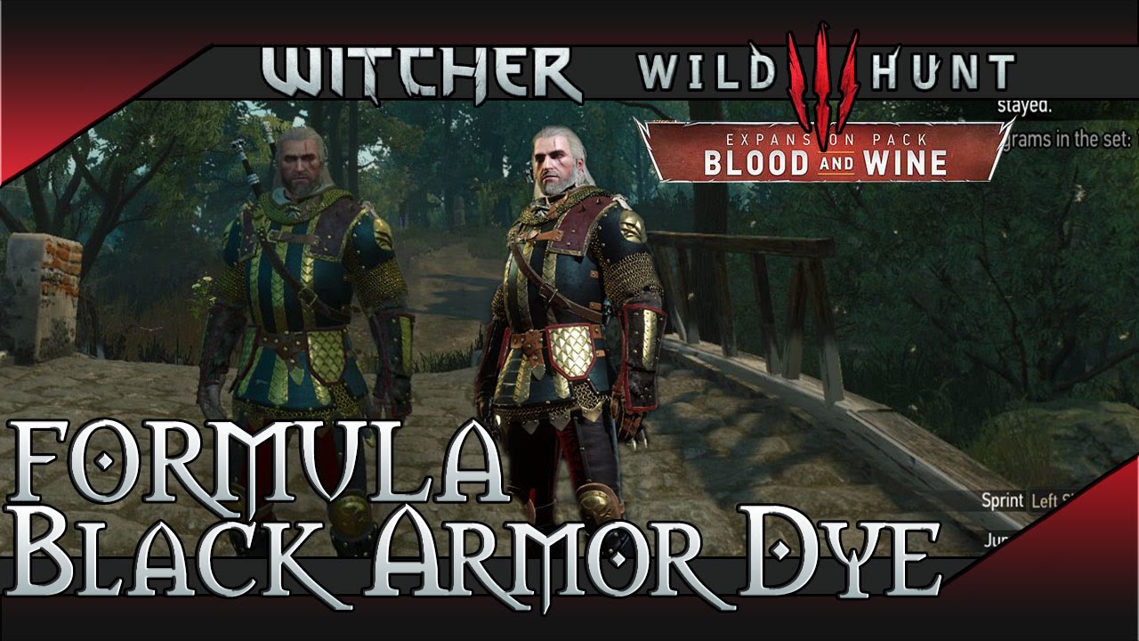 Featured image of post Witcher 3 How To Dye Armor Black